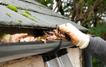 gutter cleaning Whitford