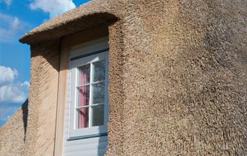 Whitford thatch roof disadvantages