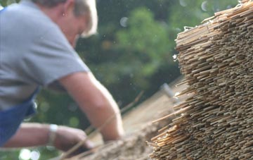 professional Whitford thatchers